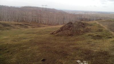 Лот: 9811225. Фото: 1. участок солонцы, ДНТ холмгород... Земельные участки
