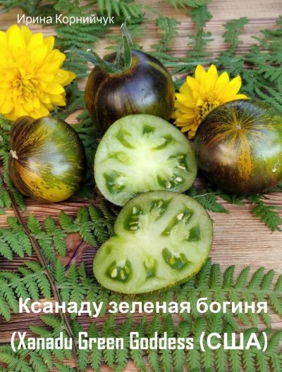 Лот: 16911666. Фото: 1. Семена томата Ксанаду зеленая... Овощи