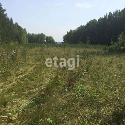 Лот: 25290553. Фото: 1. участок , Красноярск Красноярск... Земельные участки