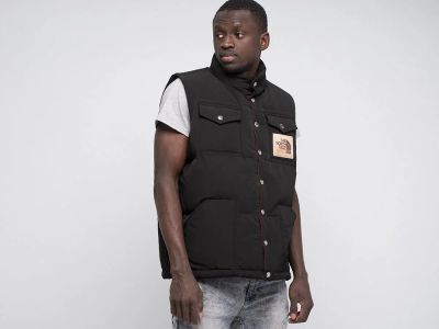 Лот: 18825335. Фото: 1. Жилет The North Face x Gucci... Свитеры, толстовки, худи