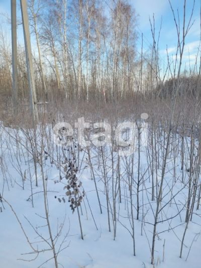 Лот: 25299027. Фото: 1. участок , дачное некоммерческое... Земельные участки