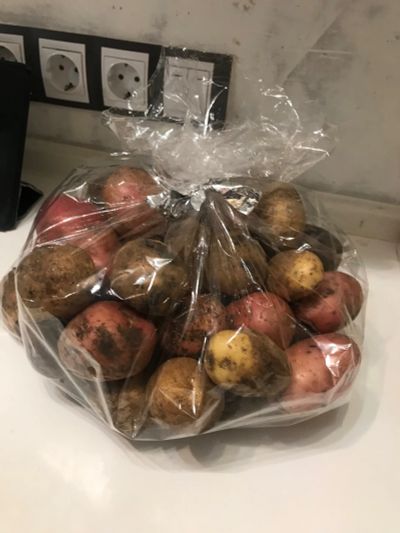 Лот: 25896471. Фото: 1. Элитный картофель крупный лот... Овощи, фрукты, зелень