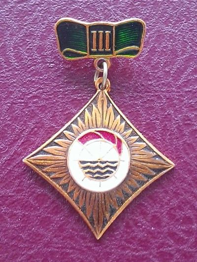 Лот: 7853537. Фото: 1. Знак "Бассовет ДСО "Водник". III... Другое (значки, медали, жетоны)