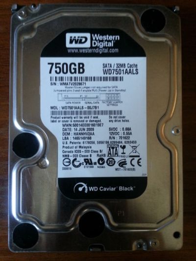 Лот: 13507952. Фото: 1. Western Digital WD Caviar Black... Жёсткие диски