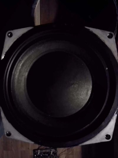 Лот: 3830062. Фото: 1. Низкочастотный динамик от АС Radiotehnika... Динамики