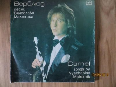 Лот: 8156652. Фото: 1. Пластинка Малежика. Другое (коллекционирование, моделизм)