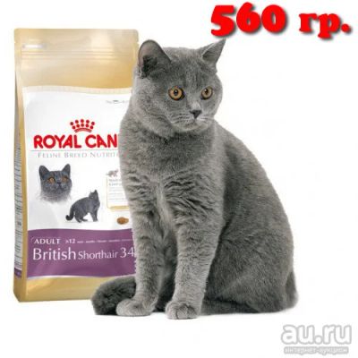 Лот: 8482400. Фото: 1. Royal Canin British Shorthair... Корма