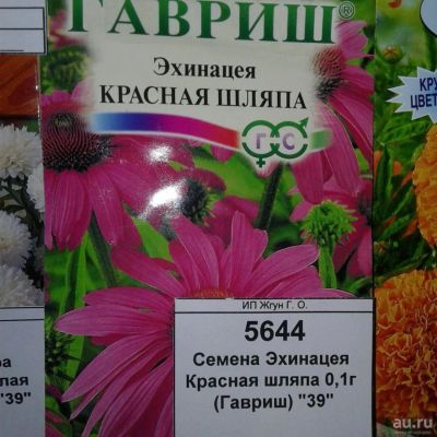 Лот: 9115392. Фото: 1. Семена / цветы / Эхинацея / Красная... Садовые цветы