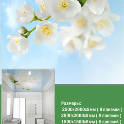 Лот: 9869380. Фото: 1. Панели ПВХ для потолка Novita... Обои, панели, ДВП, ДСП, МДФ