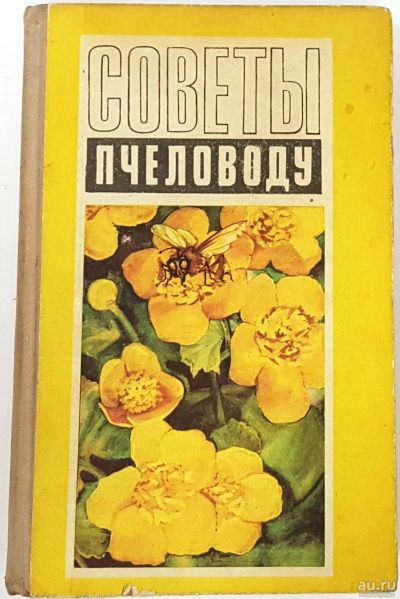 Лот: 17987348. Фото: 1. Шеметков М.Ф., Смирнова Н.И. Советы... Книги