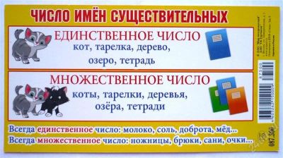 Лот: 2356406. Фото: 1. карточка обучающая "род имен существительных... Другое (учёба (школа, вуз))