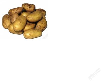 Лот: 869525. Фото: 1. Картофель экологически чистый... Картофель