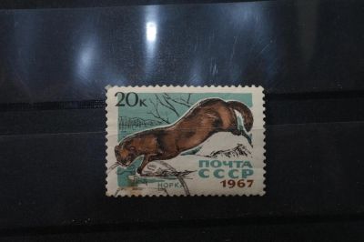Лот: 3992062. Фото: 1. марки СССР 22 Норка 1967 г. Марки