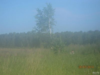 Лот: 8850477. Фото: 1. земельный участок 570 СОТОК. Земельные участки