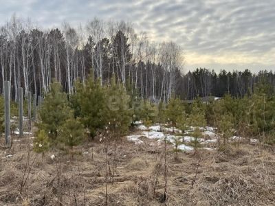 Лот: 25302699. Фото: 1. участок , деревня Ясная Поляна... Земельные участки