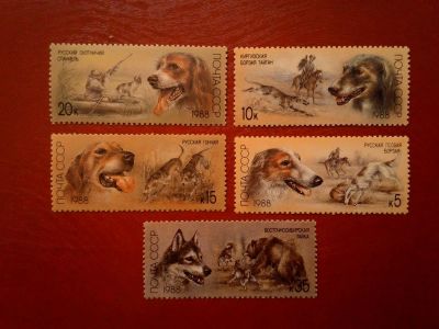 Лот: 11458967. Фото: 1. 1988, май. Отечественные породы... Марки