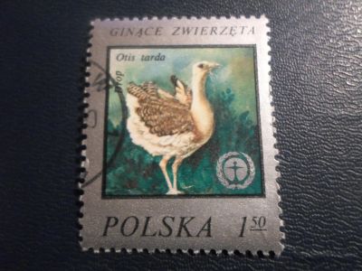 Лот: 17232985. Фото: 1. Марка для Вашей коллекции. №25562. Марки