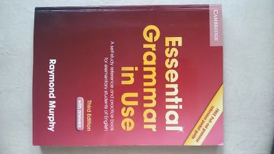 Лот: 5703695. Фото: 1. Essential Grammar in Use Raymond... Другое (учебники и методическая литература)