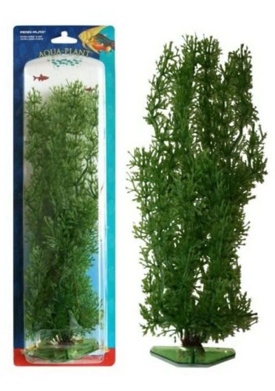 Лот: 6396852. Фото: 1. Растение PENN-PLAX Stonewort Nitella... Водные растения