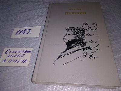 Лот: 19169275. Фото: 1. Скатов Н.Н. Пушкин. Очерк жизни... Мемуары, биографии