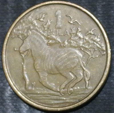 Лот: 15223015. Фото: 1. Экзотика с рубля (21384) Ботсвана. Остальные страны