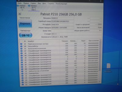 Лот: 17977234. Фото: 1. SSD Patriot 256 gb новый. SSD-накопители