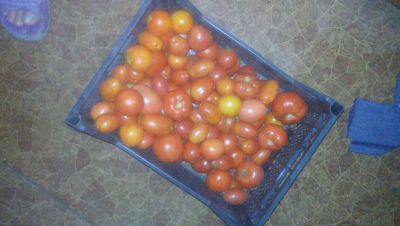 Лот: 6003977. Фото: 1. томаты. Овощи, фрукты, зелень