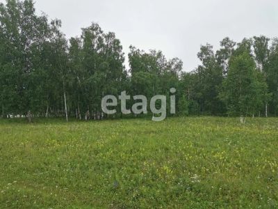 Лот: 25298247. Фото: 1. участок , посёлок Сухая Балка... Земельные участки