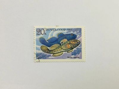 Лот: 23315746. Фото: 1. Промысловые рыбы. Бычок-кругляк... Марки