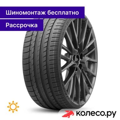 Лот: 25103797. Фото: 1. SporteX TH201 255/30 R22 95Y. Шины