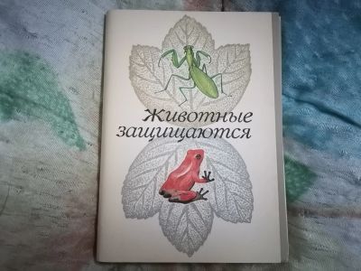 Лот: 25759021. Фото: 1. Набор открыток 1988 г. Животные... Открытки, конверты
