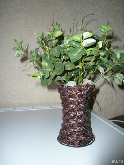 Лот: 9096717. Фото: 1. зелень - 1. Другое (домашний быт)