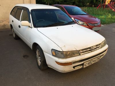Лот: 19247866. Фото: 1. Toyota Corolla. Автомобили