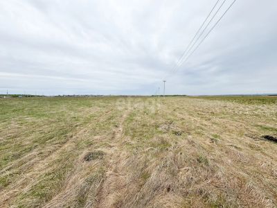 Лот: 25296437. Фото: 1. участок , СНТ Дружба СНТ Дружба... Земельные участки