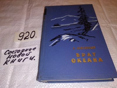 Лот: 6689707. Фото: 1. Библиотека сибирского романа... Художественная
