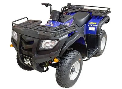 Лот: 18977208. Фото: 1. Квадроцикл ARMADA ATV 250L. Снегоходы, квадроциклы