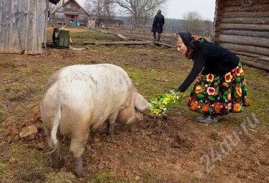 Лот: 2279380. Фото: 1. Свинина свежайшая. Мясо, птица, яйцо