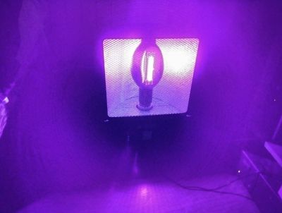Лот: 17346040. Фото: 1. Ультрафиолет Dj Light 400. Световое оборудование