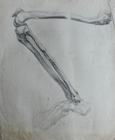 Лот: 15087476. Фото: 1. Академический рисунок нога кость... Рисунки, эскизы