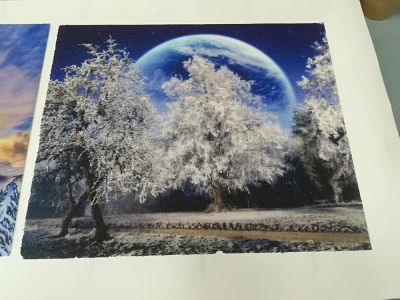 Лот: 10905018. Фото: 1. Картины из морской соли. Другое (сувениры, подарки)
