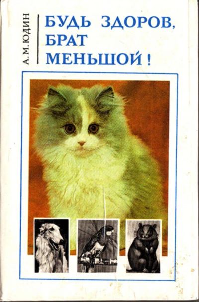 Лот: 23444599. Фото: 1. Будь здоров, брат меньшой!. Домашние животные