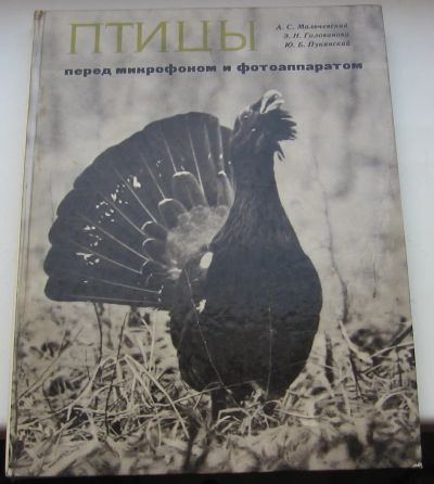 Лот: 19951927. Фото: 1. Птицы перед микрофоном и фотоаппаратом... Книги