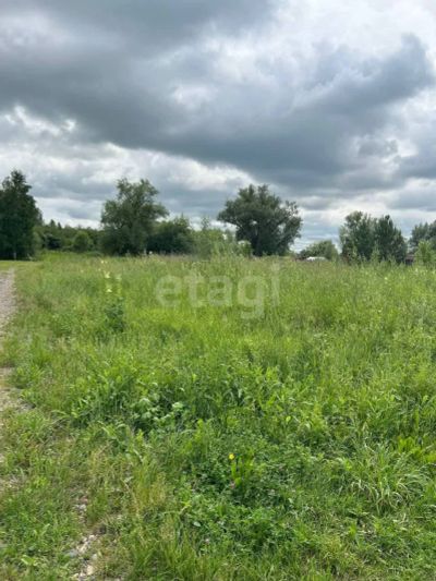 Лот: 25295604. Фото: 1. участок , село Есаулово село Есаулово... Земельные участки