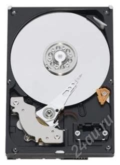 Лот: 1681177. Фото: 1. Жесткий диск 500 ГБ Western Digital... Жёсткие диски (HDD)