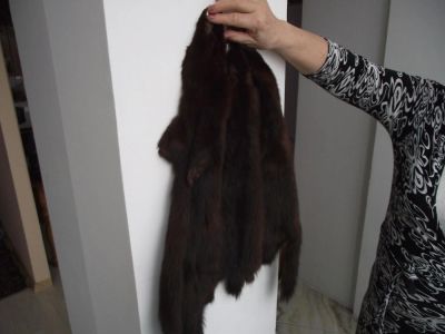Лот: 6513936. Фото: 1. Шкурки соболя. Другое (одежда, обувь, галантерея)