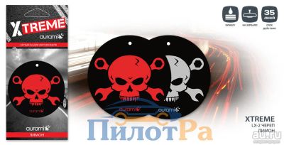 Лот: 8531745. Фото: 1. Ароматизатор подвеска Xtreme Череп... Ароматизаторы