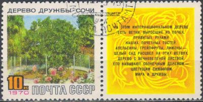 Лот: 25528390. Фото: 1. 1970, март. Дерево Дружбы в Сочи... Марки