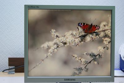 Лот: 13869104. Фото: 1. Монитор Samsung 720n. ЖК-мониторы