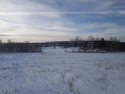 Лот: 20300211. Фото: 1. Участок в районе Р.П. "Емельяново... Земельные участки