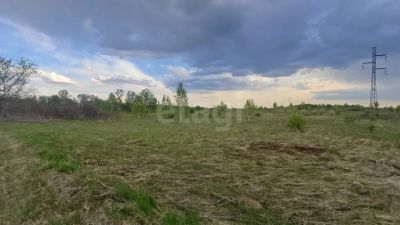 Лот: 25285845. Фото: 1. участок , , 224:04:0305001:6999... Земельные участки